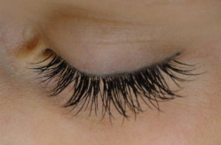 X-TREME LASHES Wimpern...